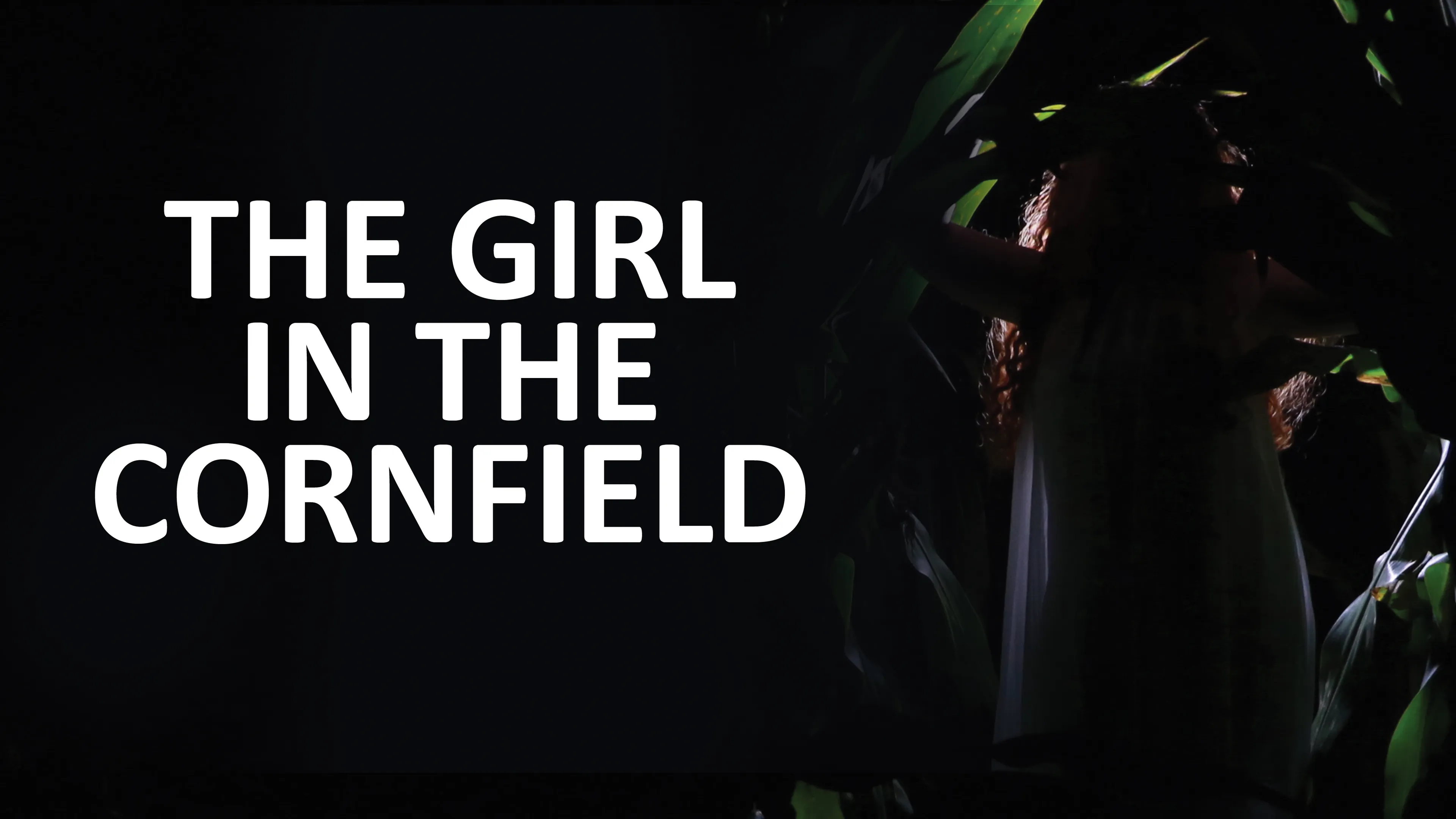 The Girl in the Cornfield poster